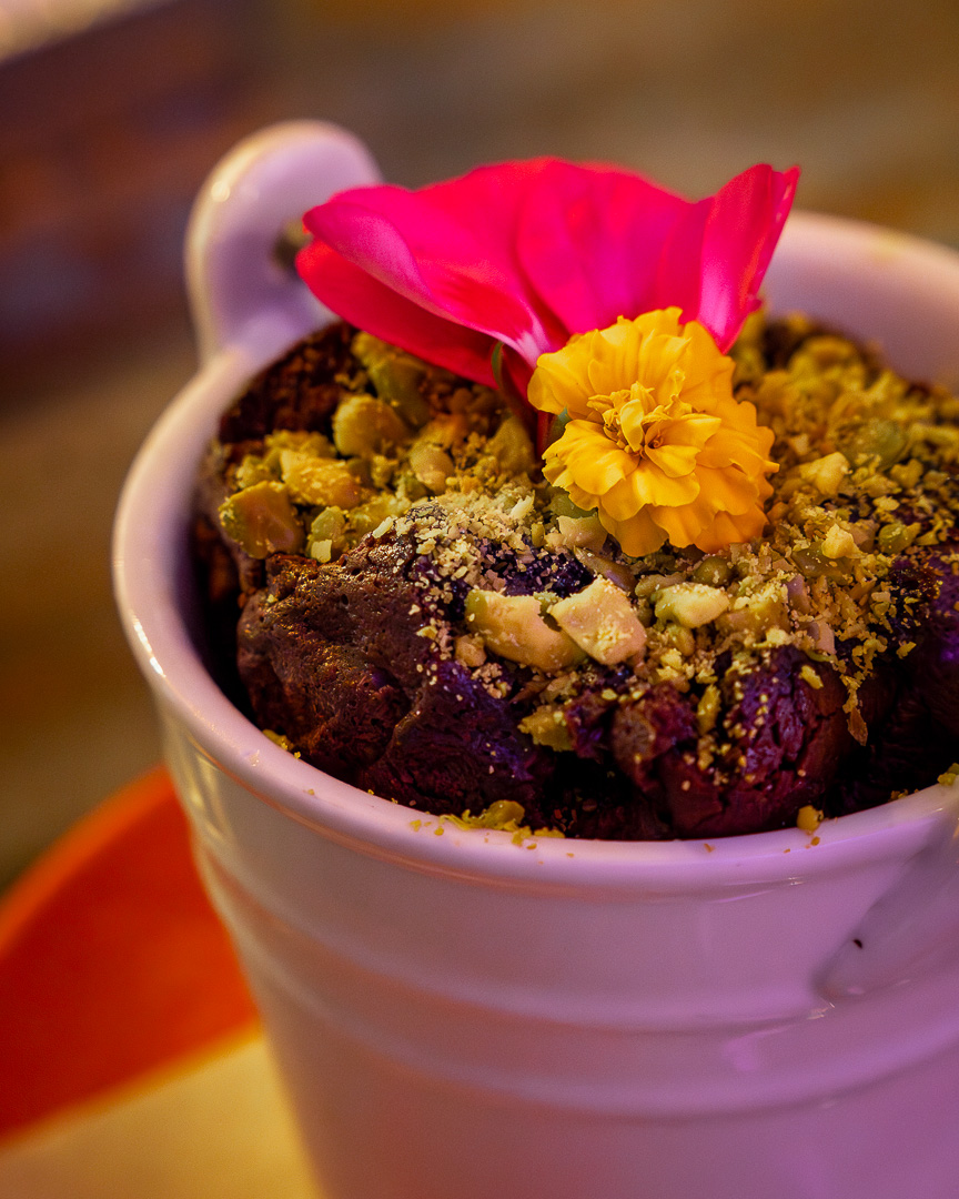 Te planto un Brownie