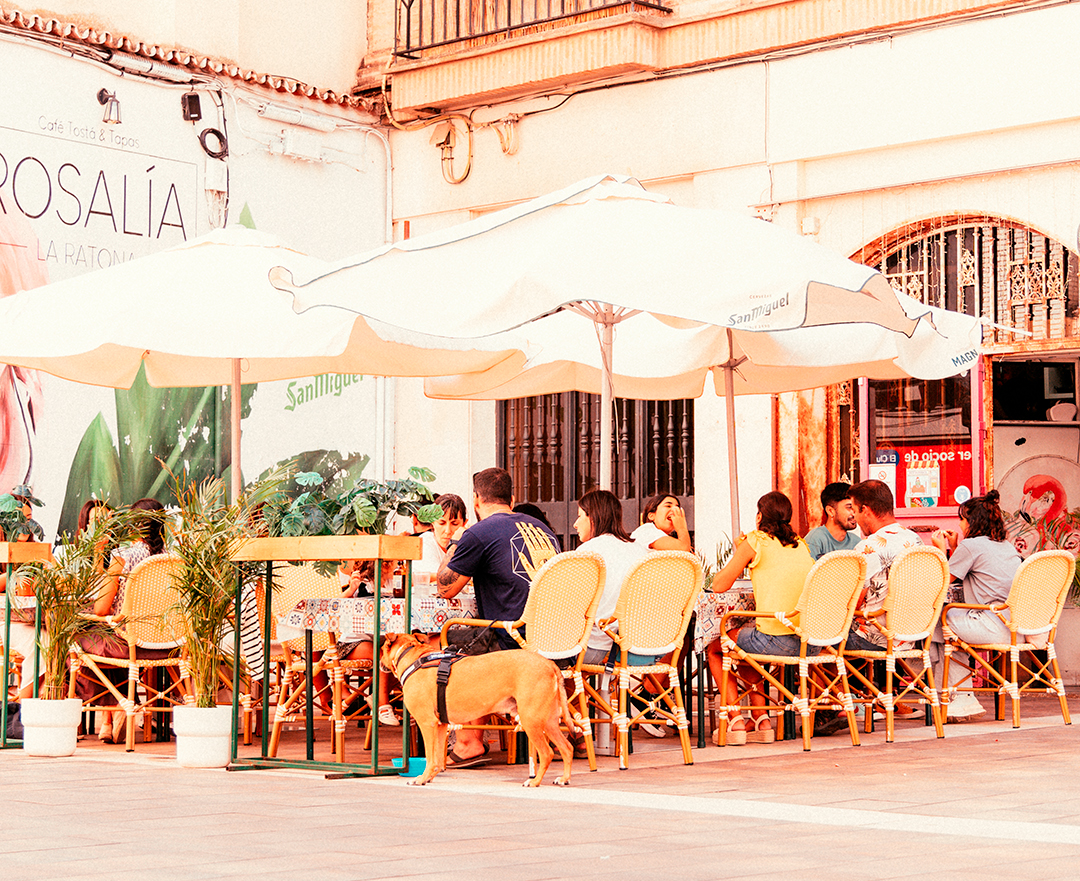 Imagen de portada de Rosalia La Ratona